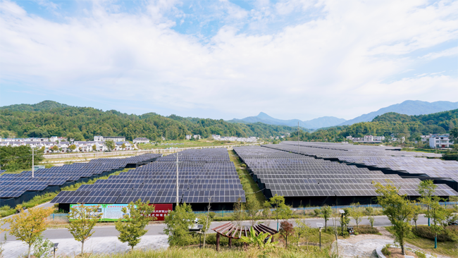 7有機靈芝種植基地全景.png
