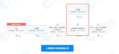 王思聰入股沉浸式游戲劇公司UMEPLAY 數(shù)字文化創(chuàng)意內(nèi)容應(yīng)用服務(wù)的新篇章