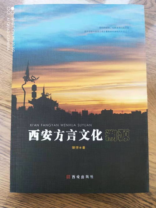 咥下數(shù)，芒背 西安方言文化溯源與數(shù)字創(chuàng)意新篇